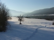 Satılır 136 sot torpaq Qusar