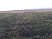 Satılır 100 sot torpaq Xaçmaz