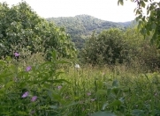 Satılır 12 sot torpaq İsmayıllı