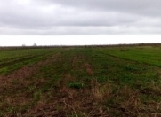 Satılır 85 sot torpaq Quba