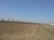 Satılır 200 sot torpaq Maştağa