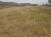 Satılır 10 sot torpaq Tovuz