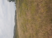 Satılır 10 sot torpaq Tovuz