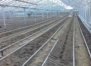 Satılır 20 otaqlı 10000 m2 obyekt Zirə