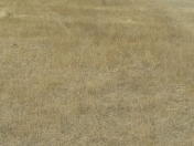 Satılır 50 sot torpaq Sumqayıt