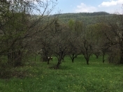 Satılır 23 sot torpaq Quba