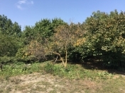 Satılır 20 sot torpaq Xaçmaz