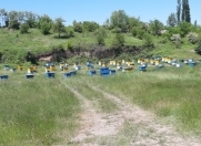 Satılır 160 sot torpaq Qusar