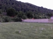 Satılır 10 sot torpaq Qusar