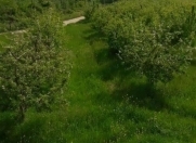 Satılır 400 sot torpaq Qusar