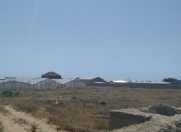 Satılır 3 otaqlı 1000 m2 obyekt Zirə