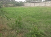 Satılır 6 sot torpaq Naxçıvan