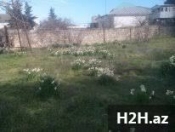 Satılır 4 sot torpaq Sumqayıt