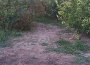 Satılır 8 sot torpaq Maştağa