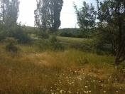 Satılır 160 sot torpaq Quba