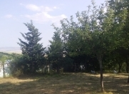 Satılır 30 sot torpaq Şamaxı