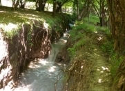 Satılır 8 sot torpaq İsmayıllı