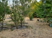 Satılır 16 sot torpaq Masazır