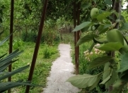 Satılır 17 sot torpaq İsmayıllı