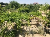 Satılır 24 sot torpaq Görədil