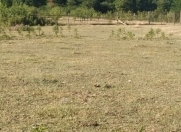 Satılır 10 sot torpaq İsmayıllı