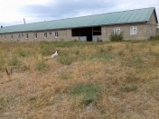 Satılır 100 sot torpaq Xaçmaz