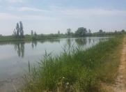 Satılır 750 sot torpaq Göyçay