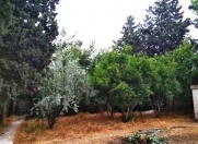 İcarəyə verilir 60 sot torpaq Bilgəh