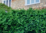 Satılır 6 otaqlı 280 m2 villa İsmayıllı