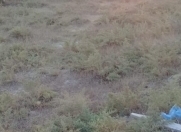 Satılır 3 sot torpaq Kürdəxanı