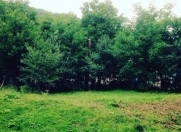 Satılır 6 sot torpaq Quba