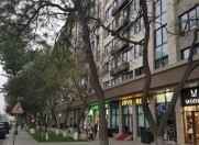 İcarəyə verilir 4 otaqlı 110 m2 köhnə tikili Gənclik m.