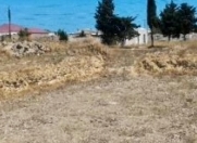 Satılır 300 sot torpaq Albalı
