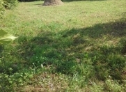 Satılır 15 sot torpaq Göygöl