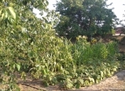 Satılır 9 sot torpaq Sumqayıt