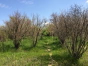 Satılır 20 sot torpaq Sumqayıt