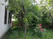 Satılır 20 sot torpaq Qəbələ