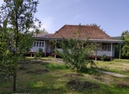 Satılır 30 sot torpaq Oğuz