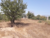 Satılır 10 sot torpaq Albalı