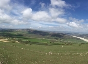 Satılır 24 sot torpaq Şamaxı