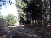 Satılır 155 sot torpaq Mərdəkan