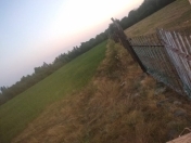 Satılır 50 sot torpaq Qəbələ