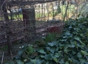 Satılır 2 sot torpaq Bakı Dövlət Universiteti