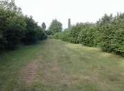 Satılır 350 sot torpaq Zaqatala