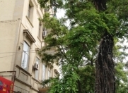 Satılır 1 otaqlı 183 m2 obyekt Space TV