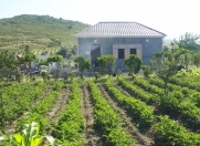 Satılır 250 sot torpaq İsmayıllı