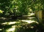 Satılır 17 sot torpaq Qəbələ