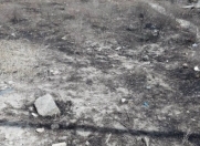 Satılır 8 sot torpaq Badamdar