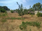 Satılır 6 sot torpaq Mərdəkan