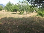 Satılır 34 sot torpaq Qəbələ